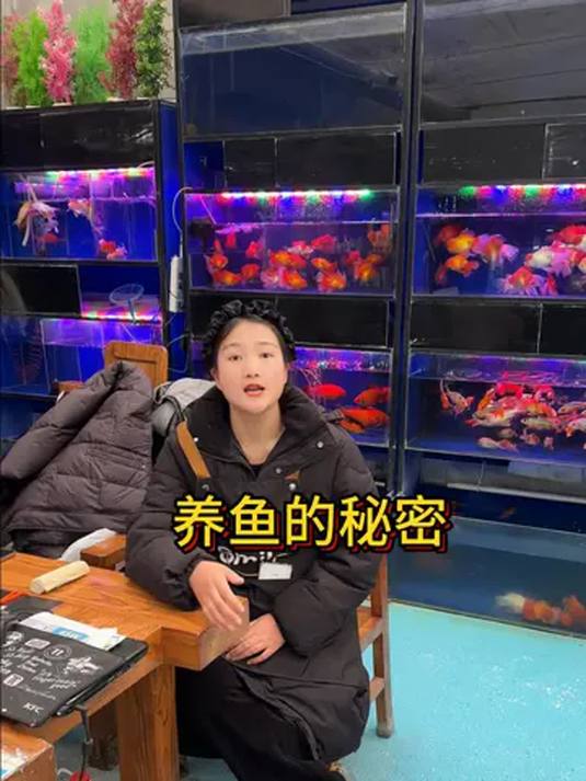 水族店老板教你养观赏鱼,秘诀大公开!