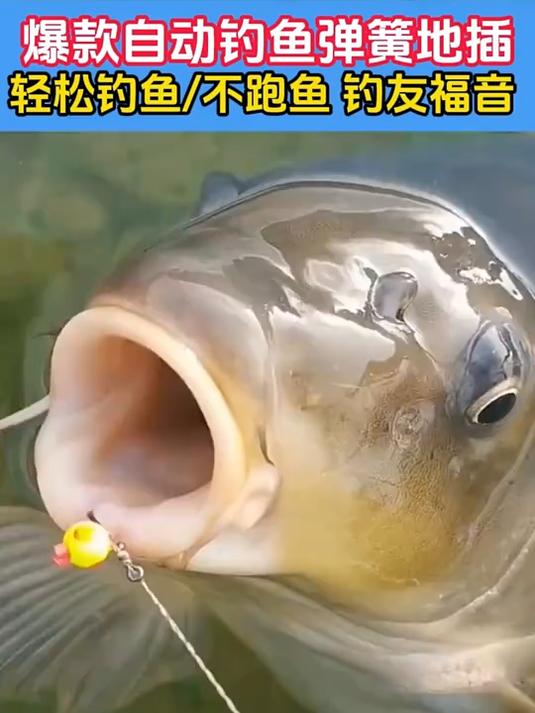 自动钓鱼弹簧地插,户外钓鱼带上几副