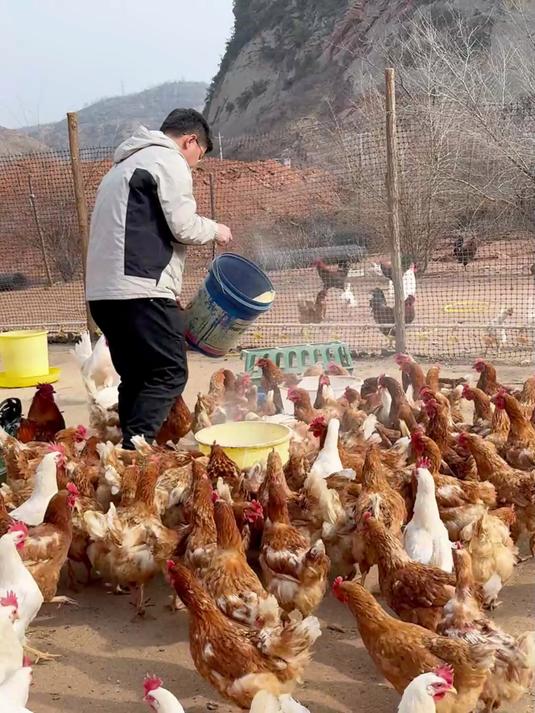 婆婆夸我荞麦面馒头做的的真好 答应你们做的荞麦面馒头教程来啦