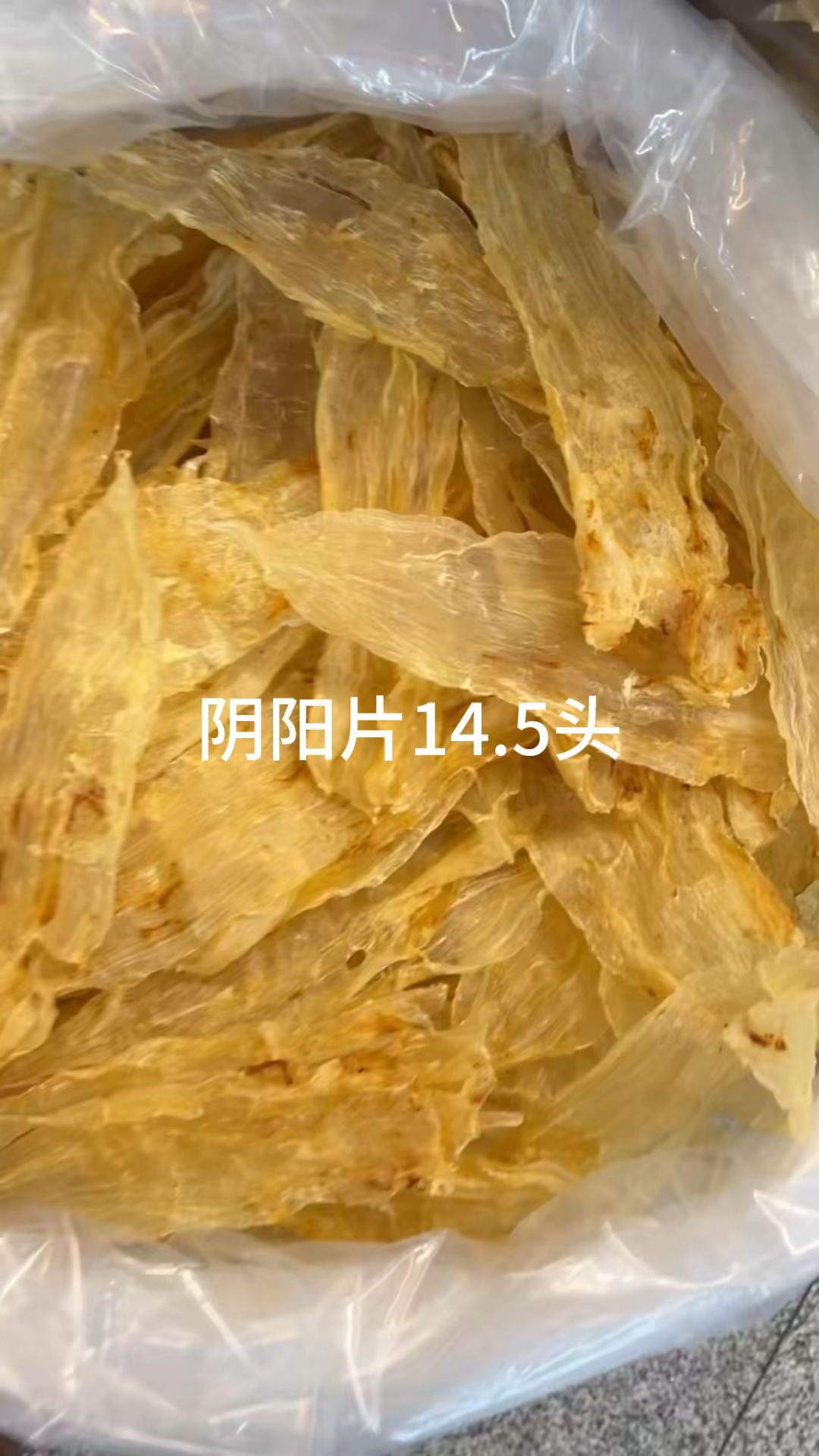 阴阳片,北海公,双背,鳝鱼肚,豆仁胶,整只石斑肚