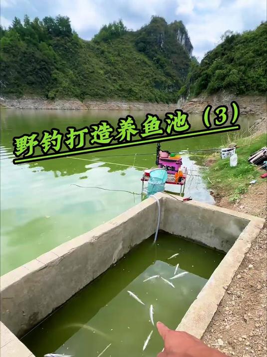 养鱼池里的巧嘴都飘了，巧嘴那么难养活呀！