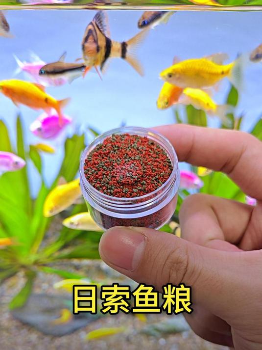 一块八毛八的鱼粮,还有什么理由不买?