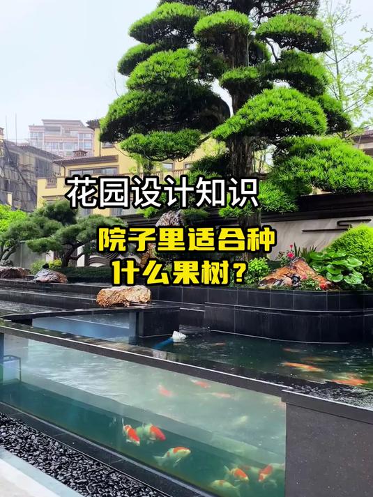 院子里适合种什么果树?