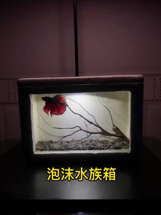 做一个创意的鱼缸 只养一条鱼！