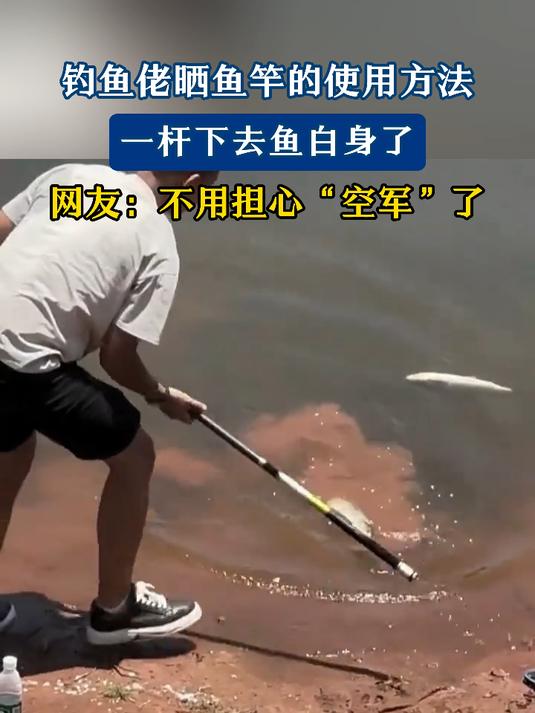 钓鱼佬晒鱼竿用法,一杆下去鱼白身,网友:不用担心“空军”啦