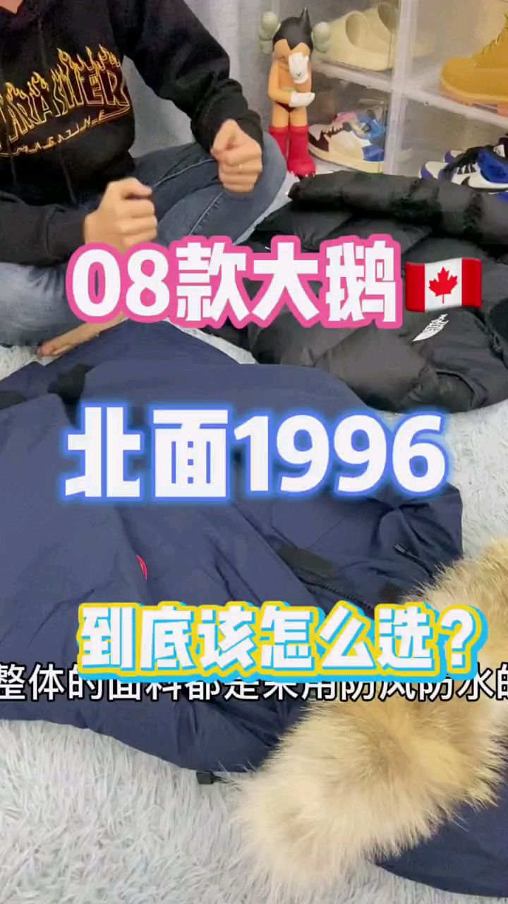 选羽绒服口诀:南方选北面,北方选大鹅!