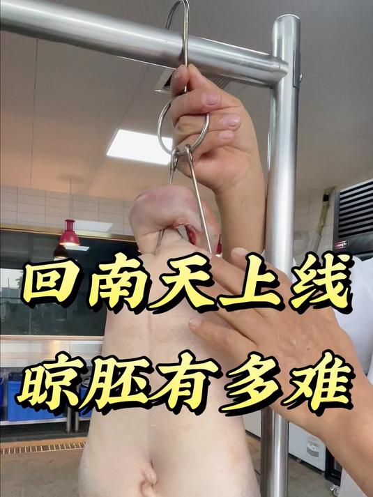 劲恒烤鸭炉:回南天晾胚多难每年春天重新上演,潮湿天气晾胚难干