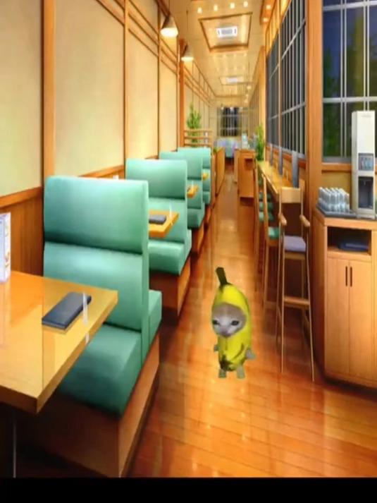 如果“阴阳面”能换一种看法 猫meme 猫咪表情包 猫咪行为大赏