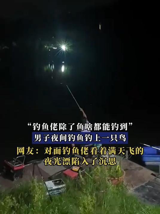 “钓鱼佬除了鱼啥都能钓到”,男子夜间钓鱼钓上一只鸟
