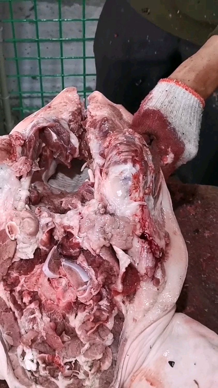 我始终认为,去骨的猪头肉比不去骨在卤制时更容易入味一些
