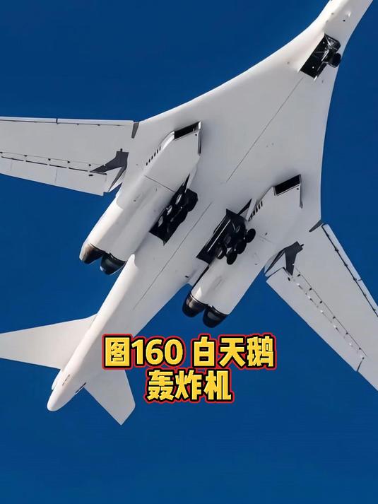 全球公认最美轰炸机,苏式暴力美学的巅峰之作,图160白天鹅