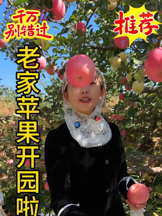 果园庆阳红富士色泽艳,客商稀少销路不畅,老农含泪盼帮忙
