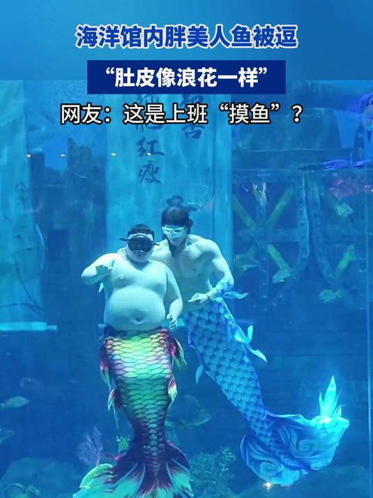 海洋馆内胖美人鱼被逗,“肚皮像浪花一样”,这是上班“摸鱼”