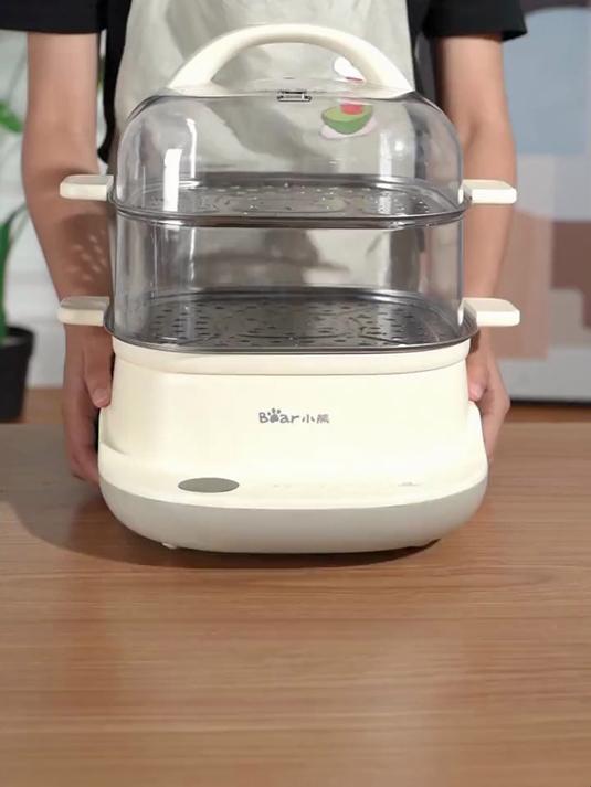 家用多功能电蒸锅