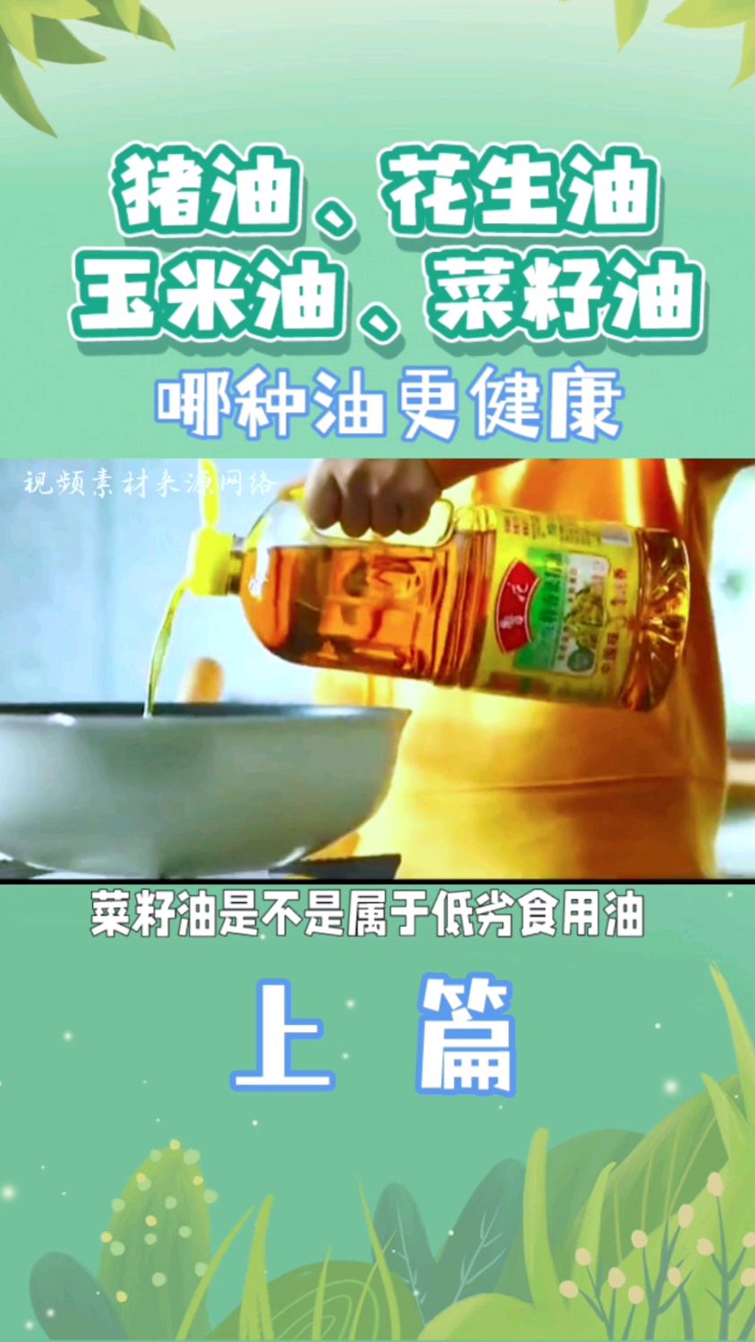科普:这3种油少碰!猪油、花生油、玉米油、菜籽油哪种油更健康?