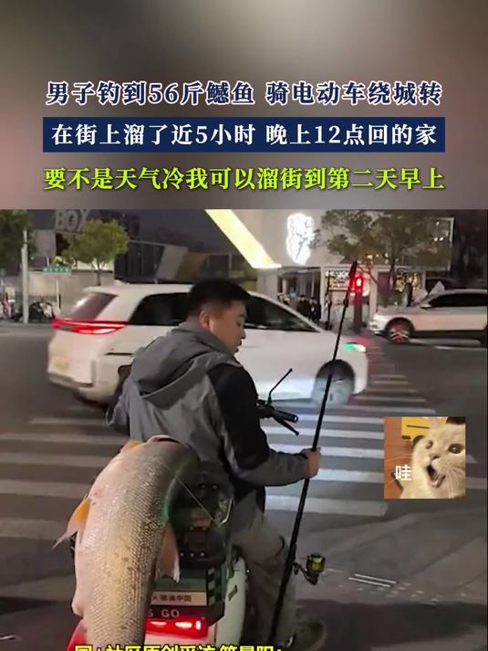 男子钓到56斤鳡鱼 骑电动车绕城转