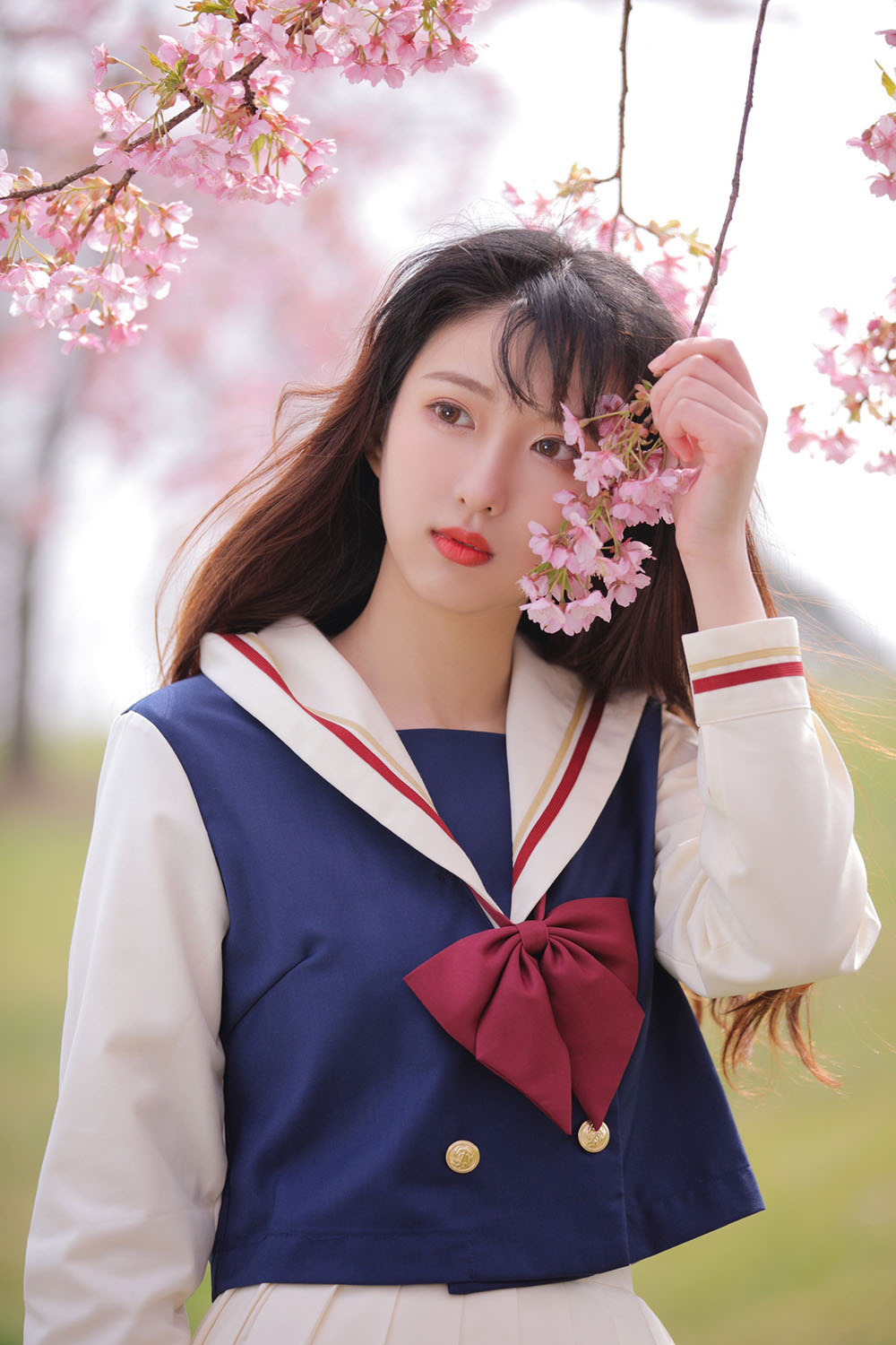 图片[15]-樱花-六色网