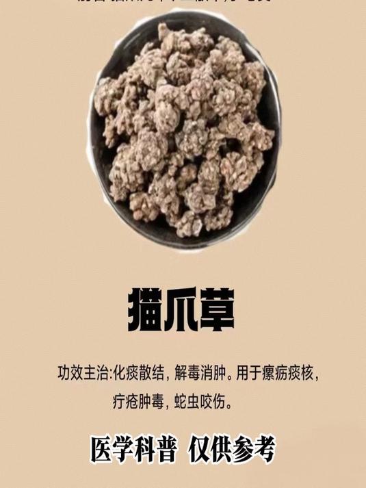 猫爪草的作用和功效