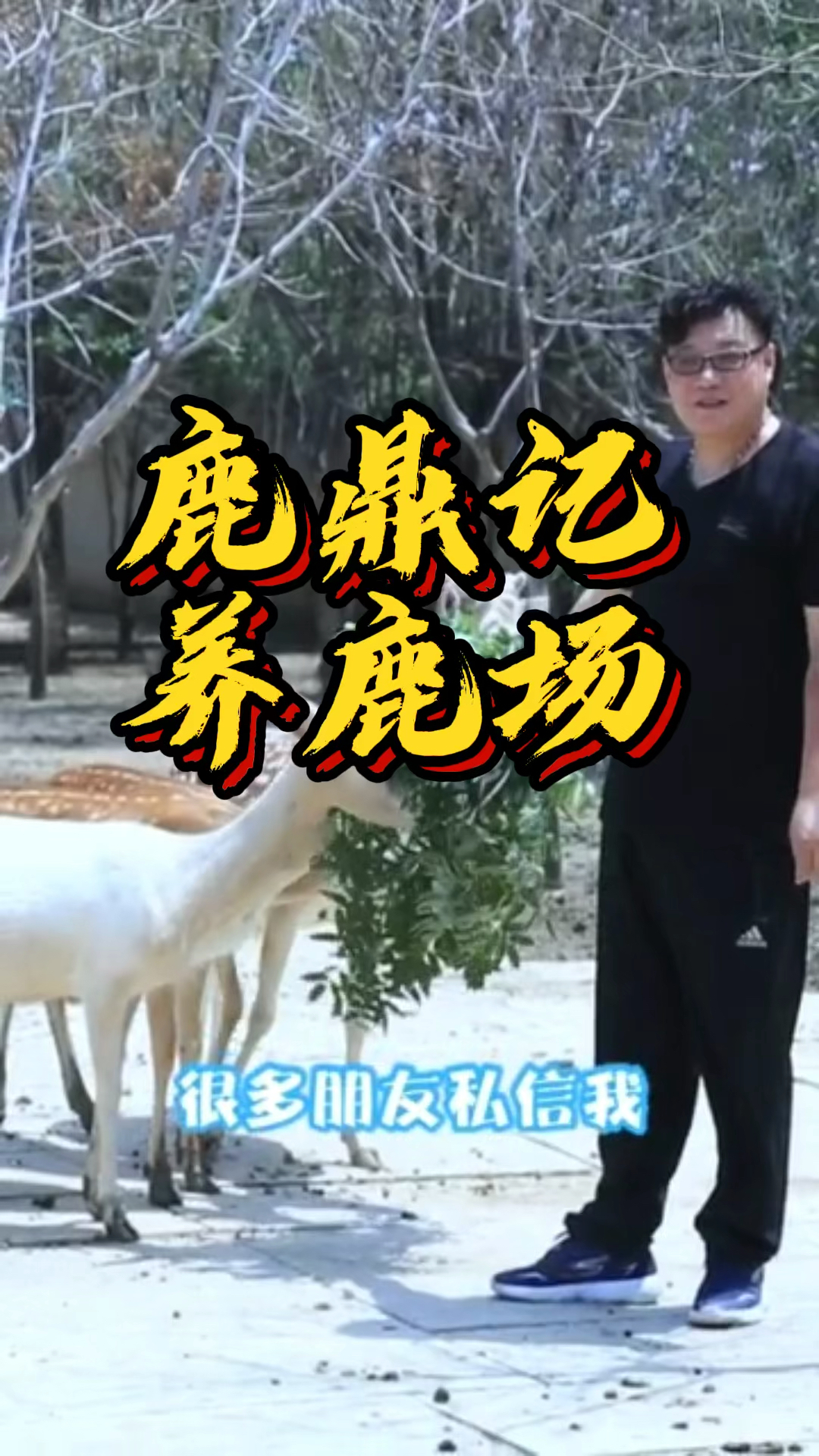 梅花鹿养殖基地