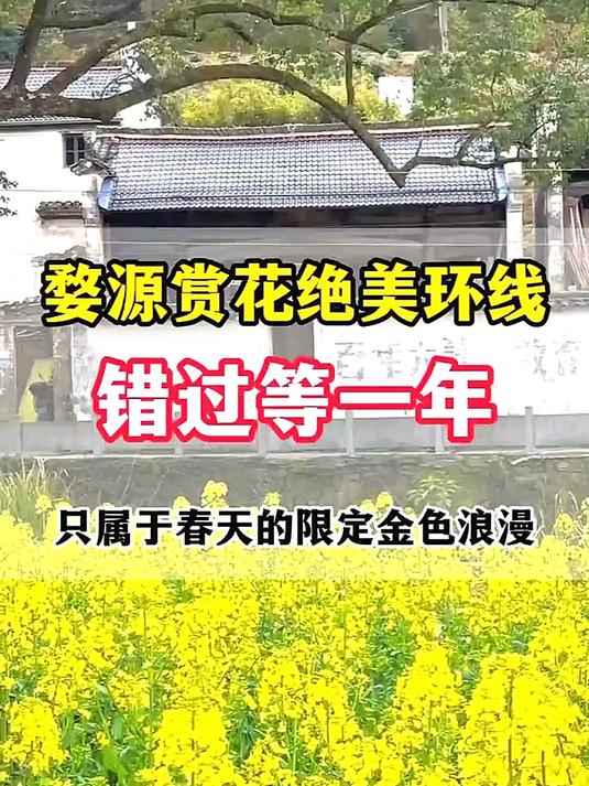 如果春天有颜色，那一定是婺源的油菜花黄。路线已替你踩过#花满春城我代言#