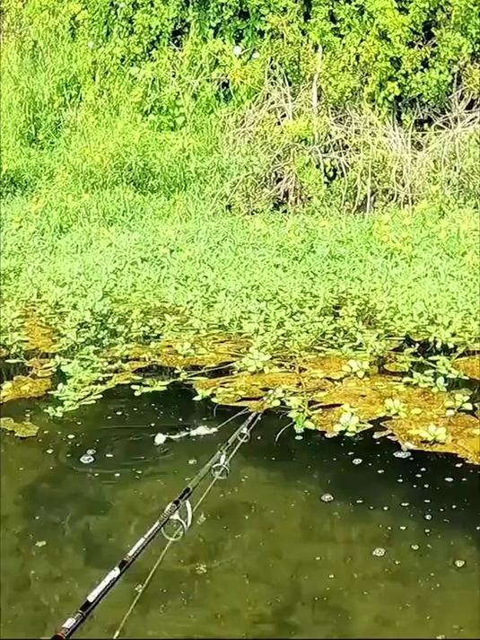 钓到大鱼了