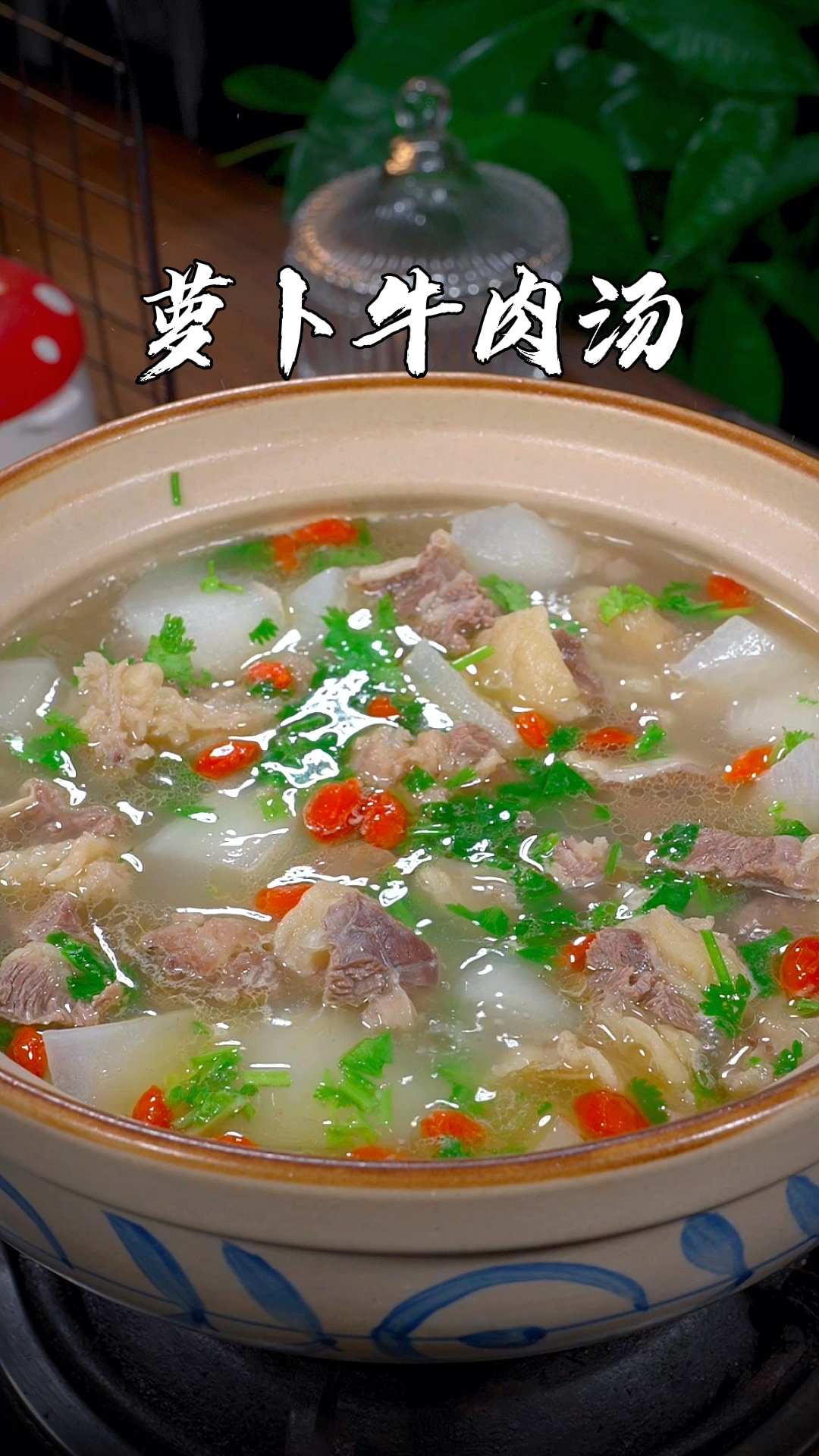 立秋后,一定要给家人炖萝卜牛肉汤,经常喝冬天秋裤不用穿