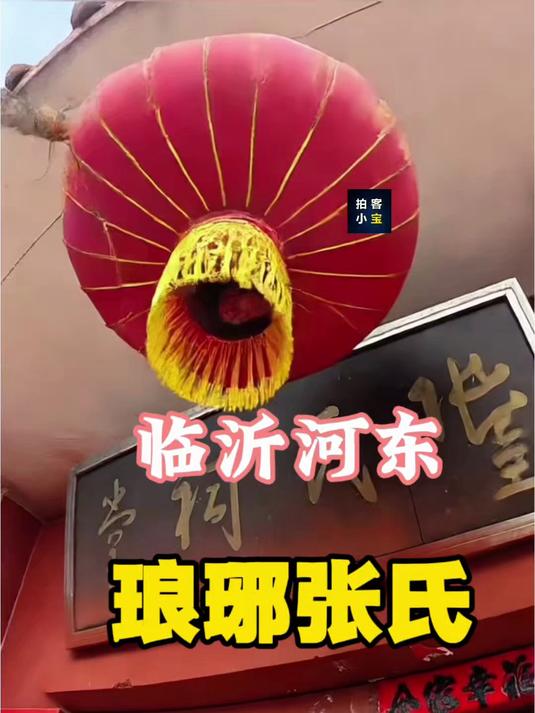 临沂河东区郑旺镇琅琊张氏#拍客小宝聊临沂