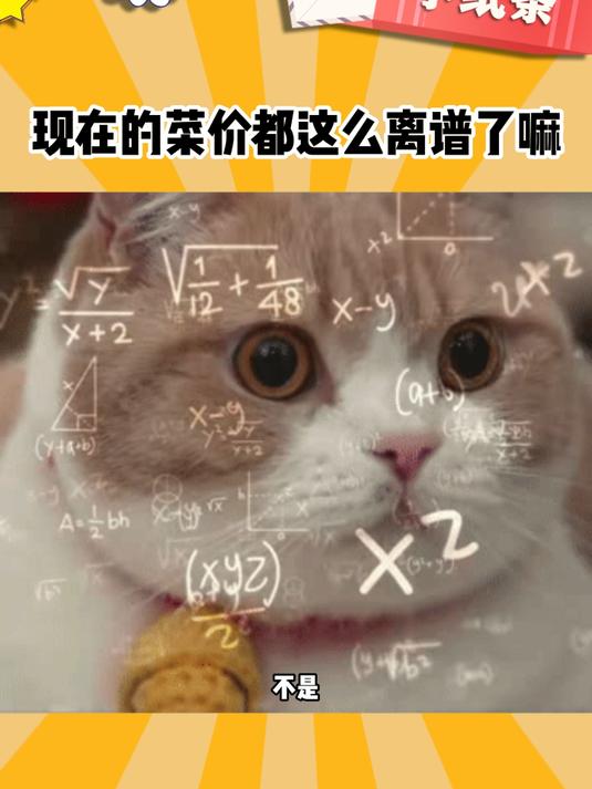 现在的菜价都这么离谱了嘛?