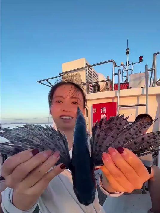 一次海钓，三倍体验！鱿鱼连杆上