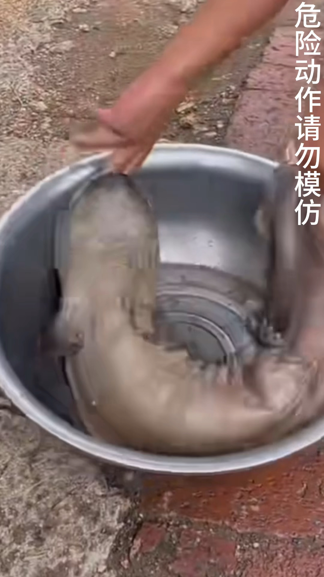 千万不要让娃娃鱼咬住手指哦