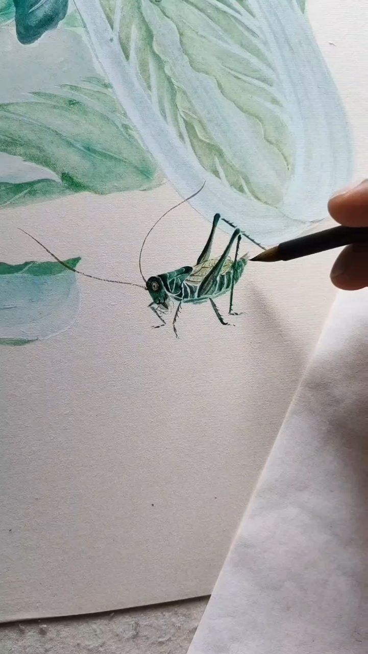 画一幅白菜蝈蝈图