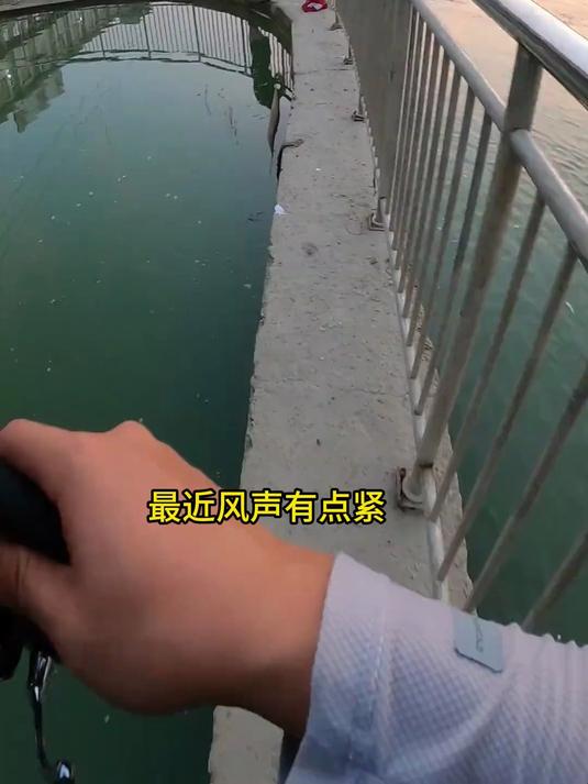 我很好奇这个回鱼到底啥滋味！路亚 鳡鱼 路亚新手入门教程