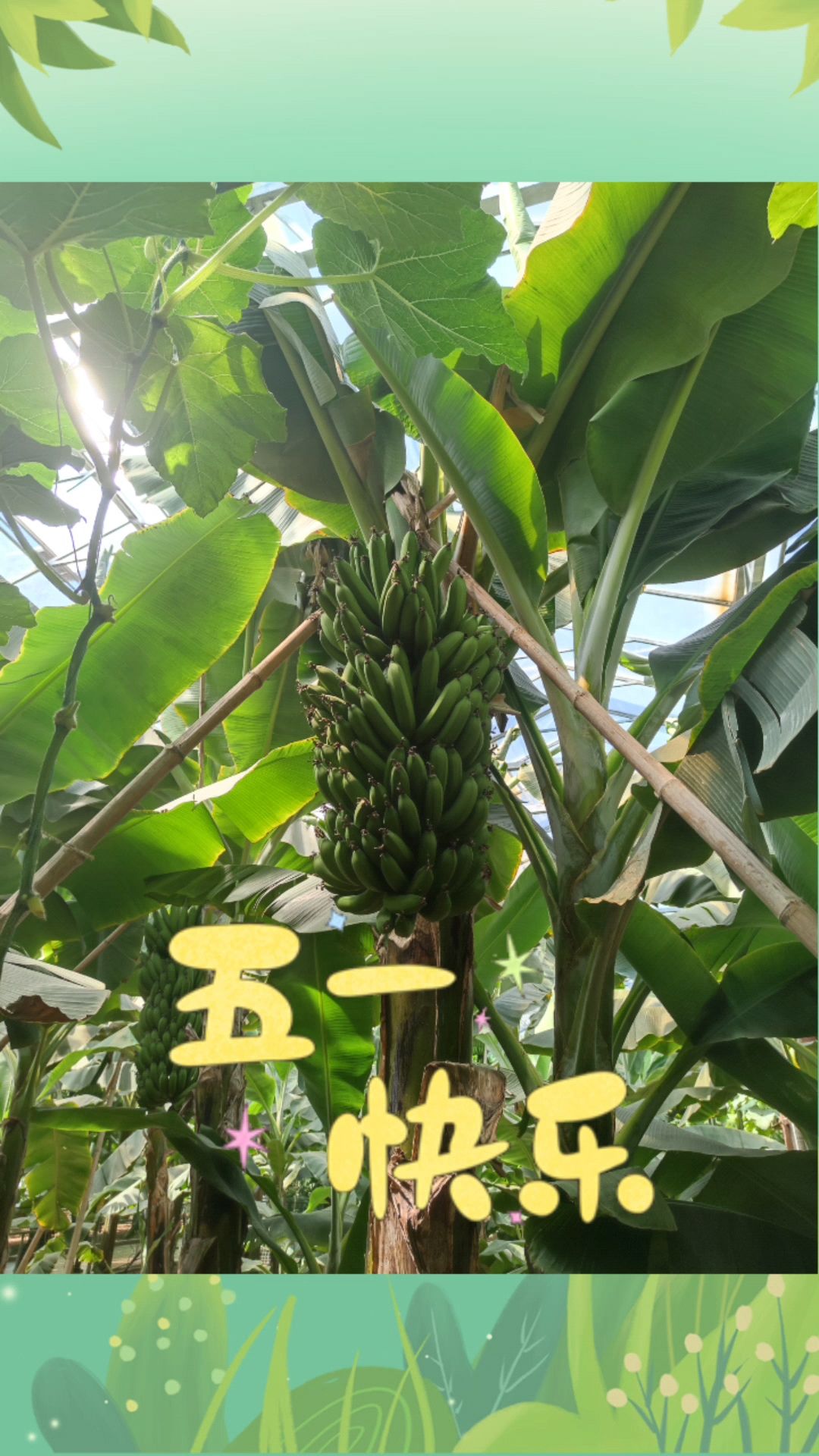 寿光菜博会一日游