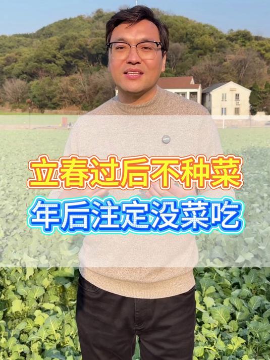 立春以后不种菜,年后注定没菜吃#蔬菜种植# #蔬菜##蔬菜种子##种植小技巧##板蓝根青菜