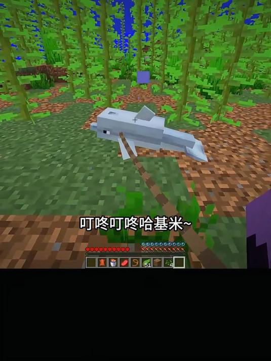 假如我们生活在海洋里 我的世界 MC mc不灭 Mc酸菜鱼