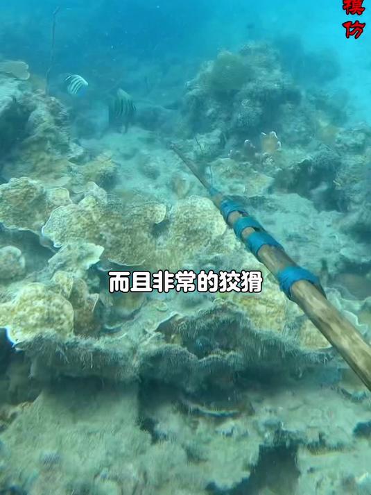 让女粉丝吃上丰盛的晚餐