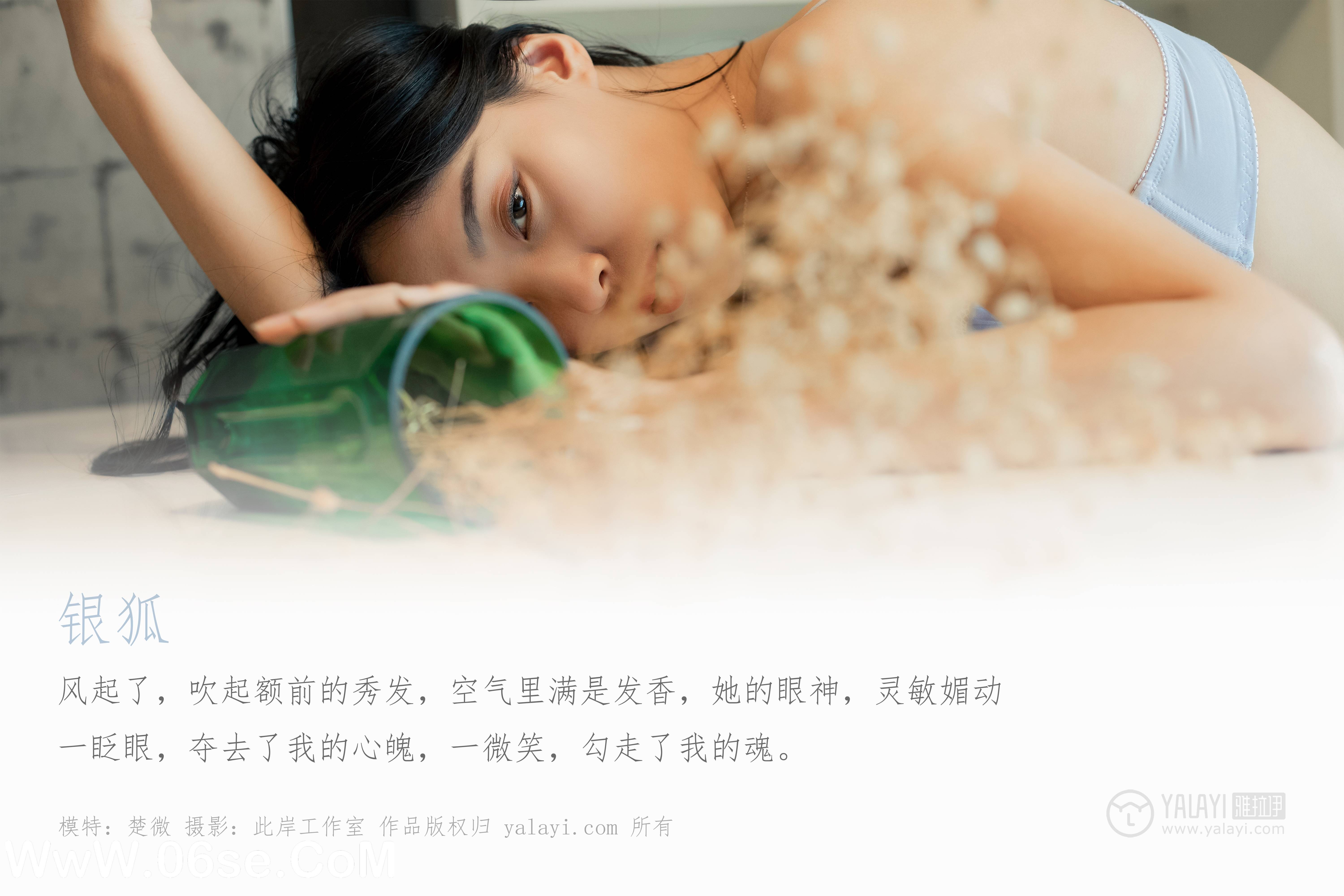 图片[2]-[YALAYI雅拉伊] No.324 银狐 楚薇-六色网