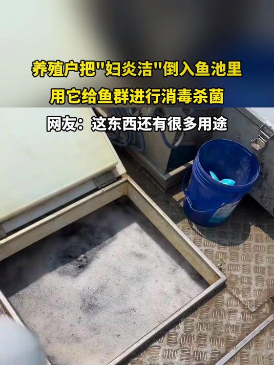 养殖户把妇炎洁倒入鱼池里,用它给鱼群进行消毒杀菌