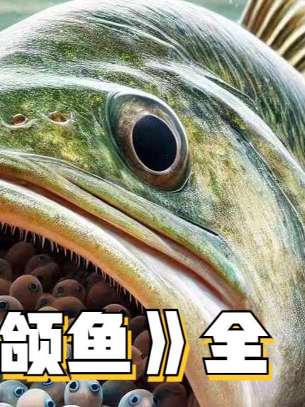 看雄性后颌鱼如何以独特口中孵化方式,将鱼卵变成口中珍珠