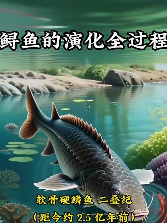 鲟鱼演化全记录：从远古游到今天