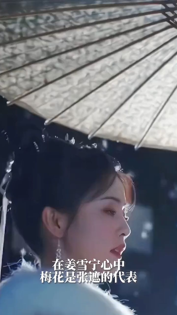 姜雪宁因为张遮才更偏爱梅花,带着梅花图案的衣服、首饰和琴都是她下意识的选择