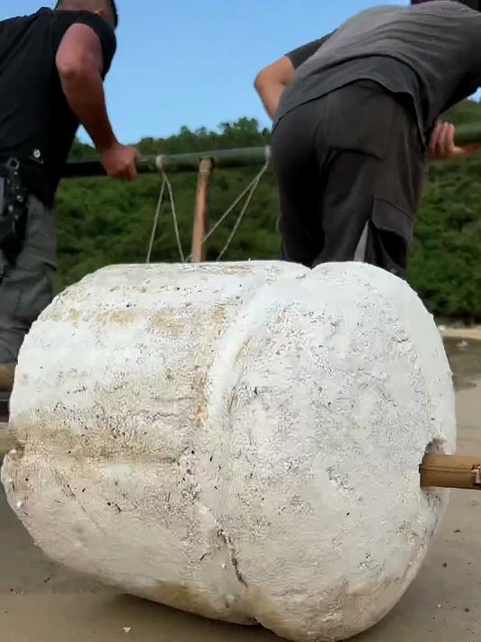 制作大型半自动捕鱼器,鱼儿直接把唯一的钩子咬走了,全部下岛