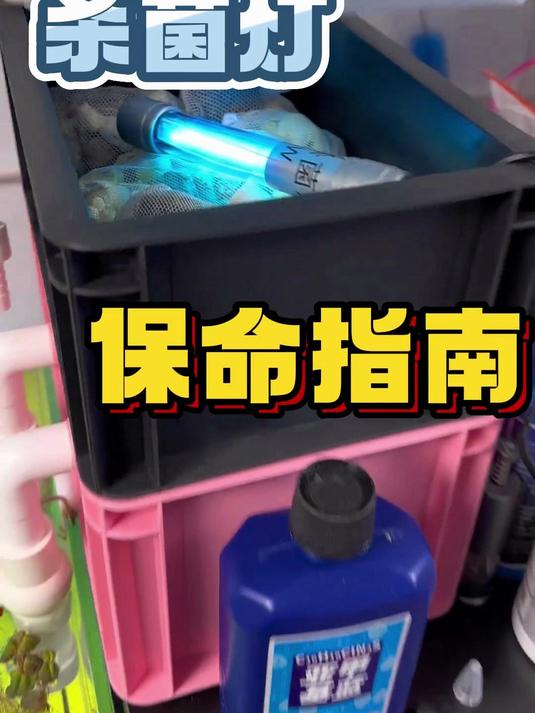 龙鱼杀菌灯保命指南