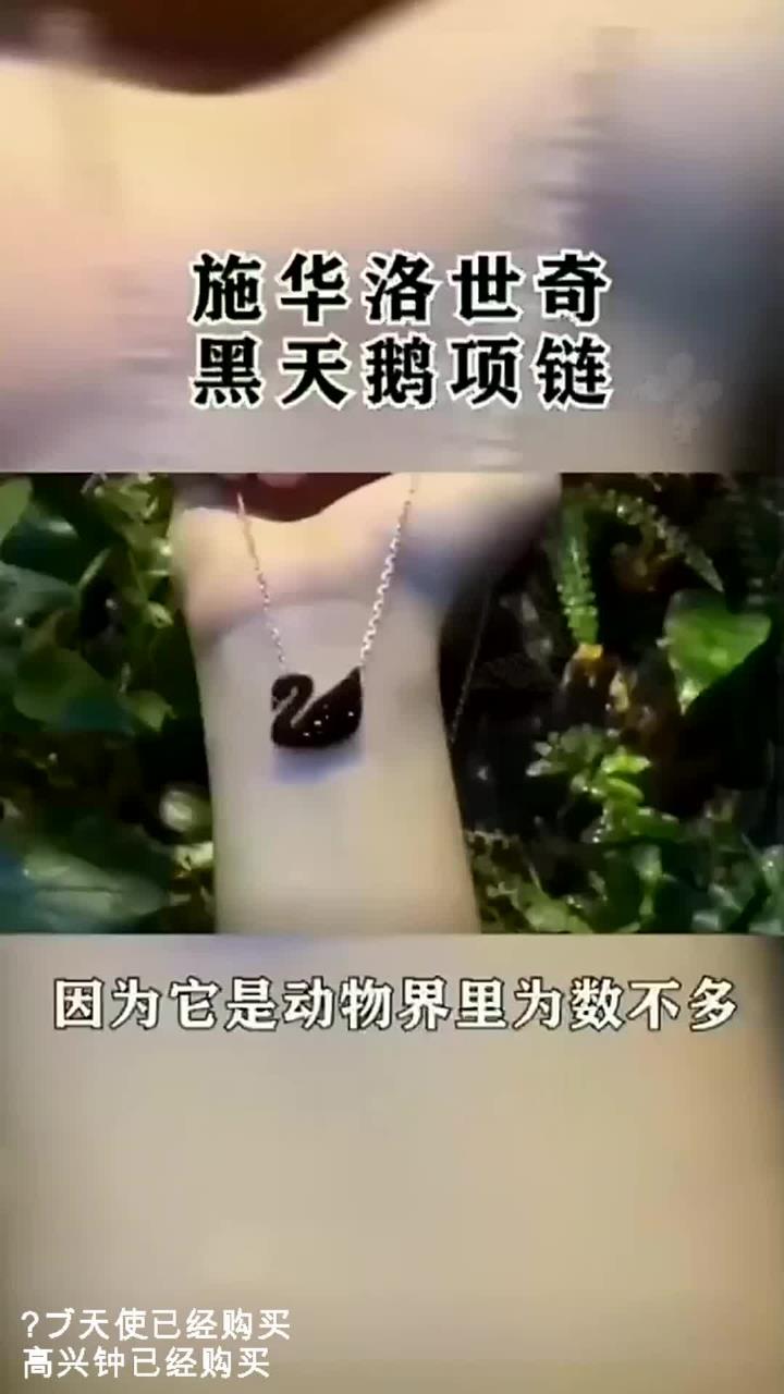 施华洛世奇黑天鹅渐变天鹅系列