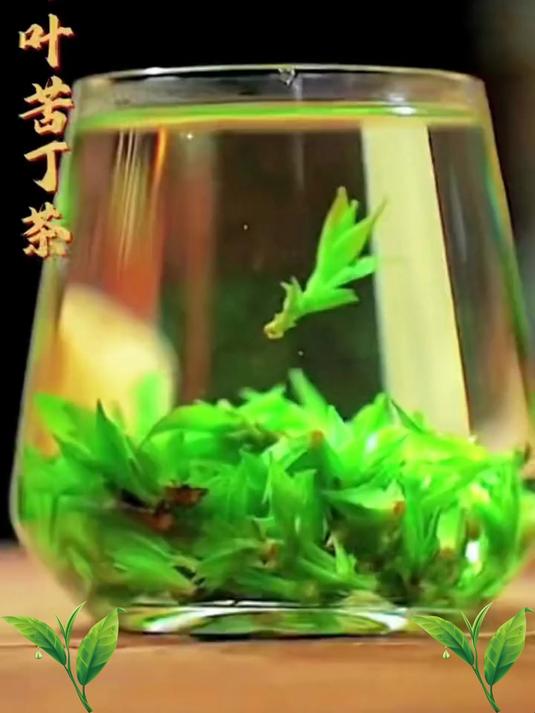 揭秘“小叶苦丁”的3大养生功效!最后一个知道的人太少