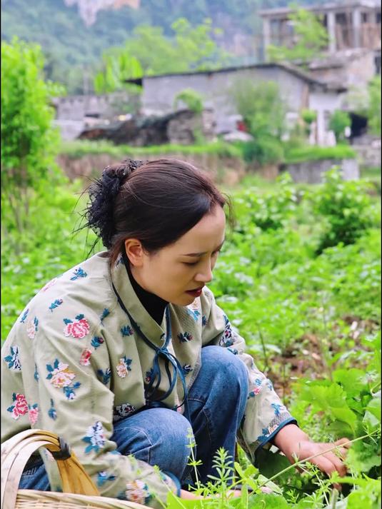 今天沉侵式摘野菜,九种常见的野菜,你最喜欢哪一种