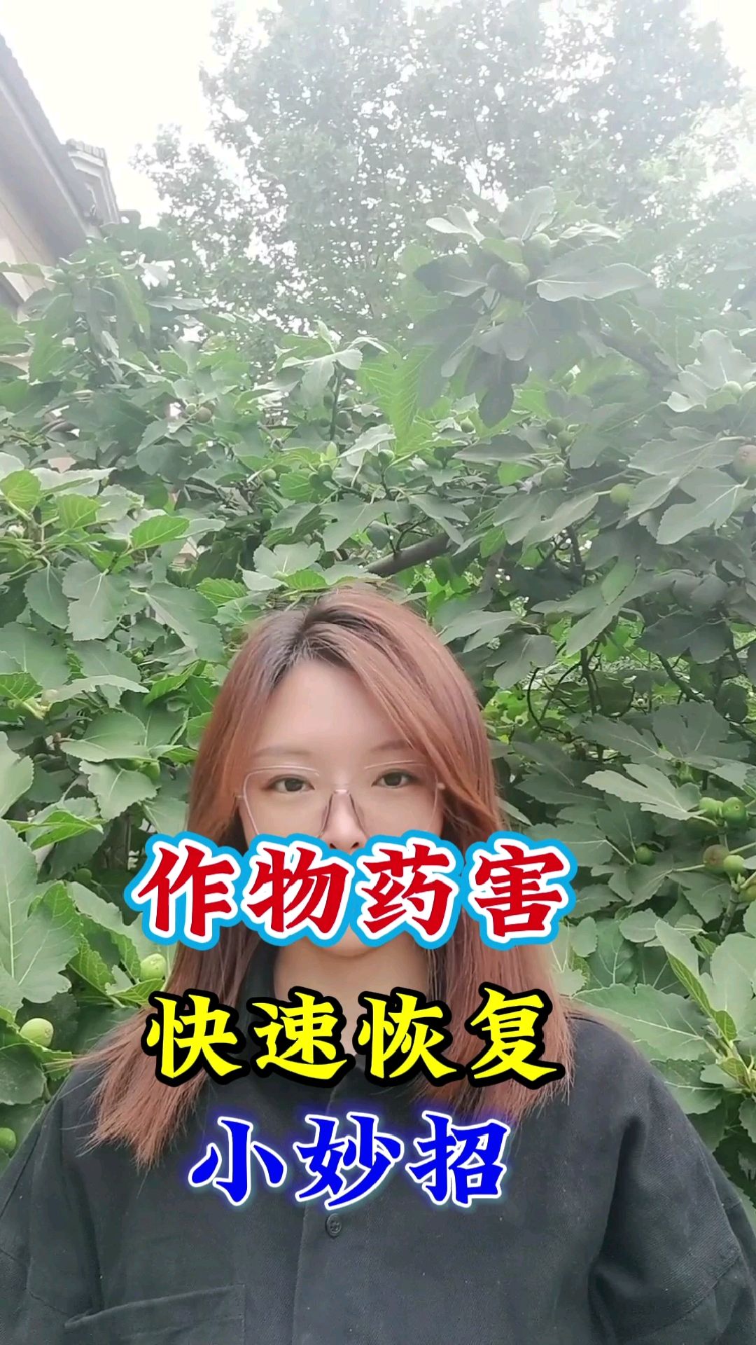 作物发生药害该怎么解决?教你轻松解药害