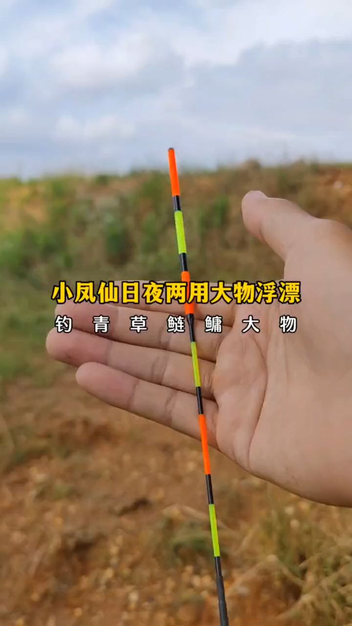 日夜两用大物浮漂,浮钓翘嘴鲢鳙,底钓青鱼鲤鱼都好用,吃铅量覆盖3.3-17.15克