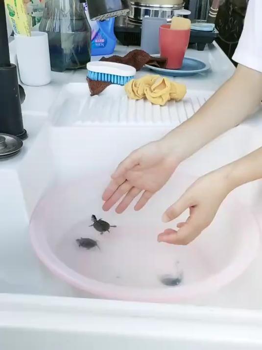 大鱼海棠里的鼠婆说:不要预设和别人共渡一生,就自然的相处