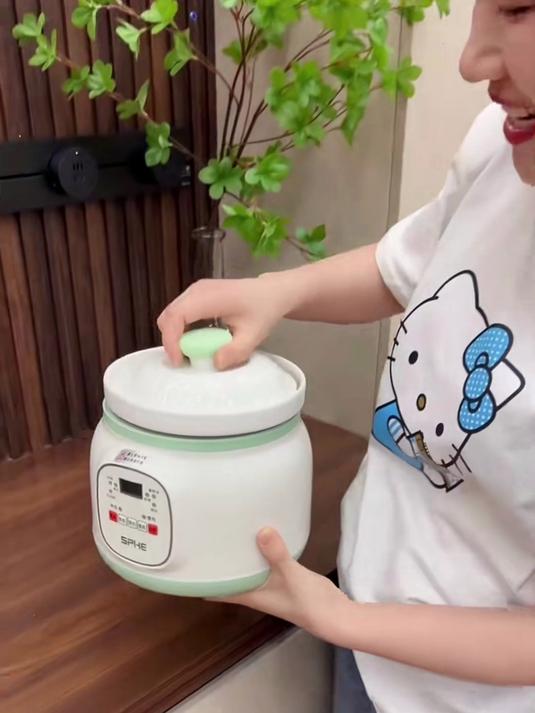 大容量陶瓷电炖锅，炖汤锅煲汤煮粥神器，24小时预约，快炖不溢锅
